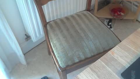 Seba online show from 03.04.25