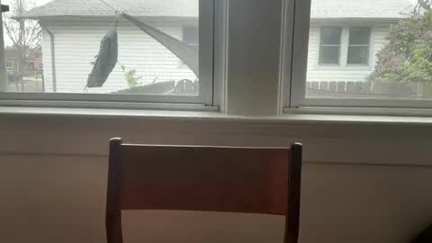 sie273 online show from 04.11.26