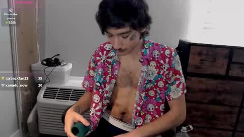 Snapshot of silly_cybin chatting on 01.18.25 cybin online show from 01.18.25