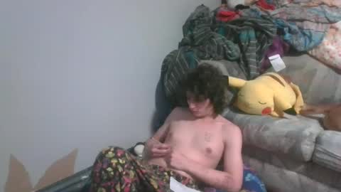 Snapshot of sillycutecow chatting on 01.15.25 Hailey online show from 01.15.25