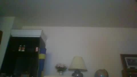 Snapshot of silverfunfox chatting on 10.01.25 silverfunfox online show from 10.01.25