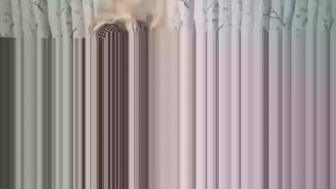 Snapshot of simontupin1973 chatting on 12.17.25 simontupin1973 online show from 12.17.25