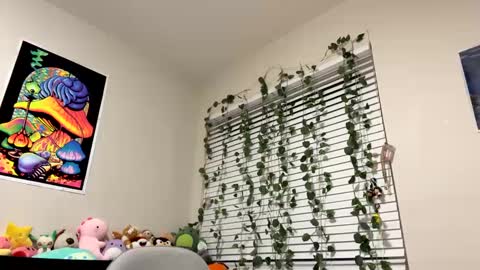 Sincerelyneon online show from 01.10.25