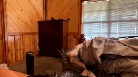 sinfull2022 online show from 02.01.26