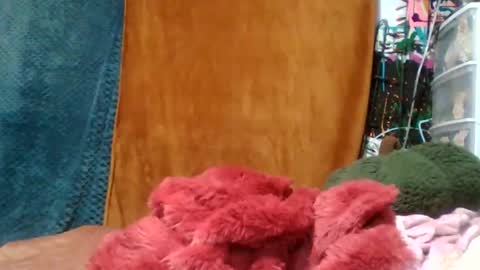 Siofra online show from 11.16.25