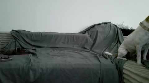 sircheese69x2 online show from 06.06.26
