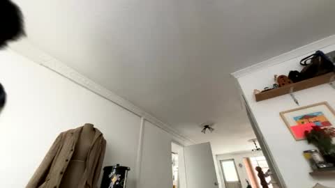 Snapshot of siriss_boyrag chatting on 02.14.26 siriss_boyrag online show from 02.14.26