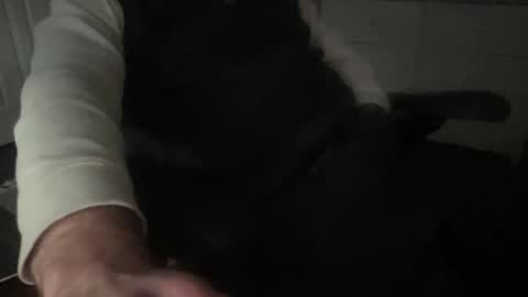 sissytraining2 online show from 02.18.25