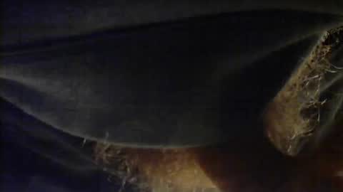 Snapshot of sjim368 chatting on 12.02.25 sjim368 online show from 12.02.25