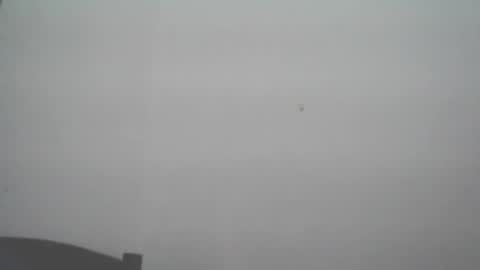 skady_coronado online show from 11.11.25