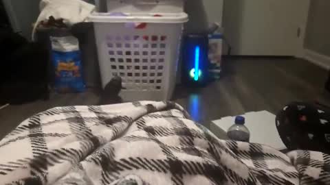 Snapshot of skindog1551 chatting on 11.02.25 skindog1551 online show from 11.02.25