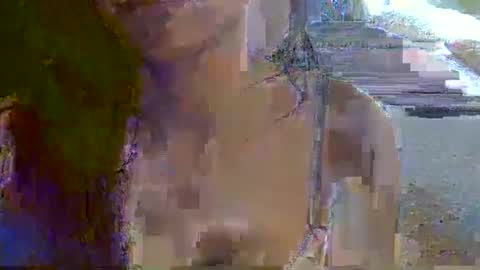 skinnykittencam online show from 11.16.25