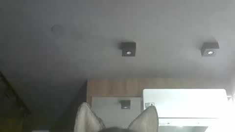skinnykittencam online show from 11.25.25