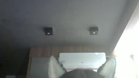 skinnykittencam online show from 03.14.26