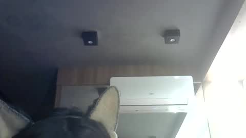 Snapshot of skinnykittencam chatting on 06.08.26 skinnykittencam online show from 06.08.26