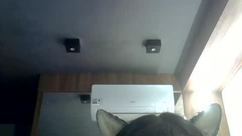 Snapshot of skinnykittencam chatting on 06.19.26 skinnykittencam online show from 06.19.26