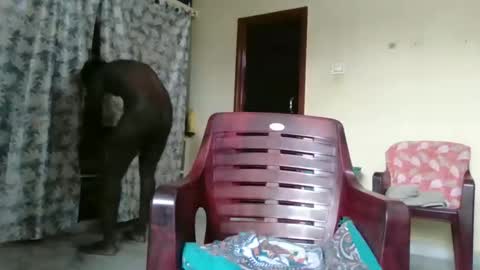 Indianslut1431 online show from 04.09.26