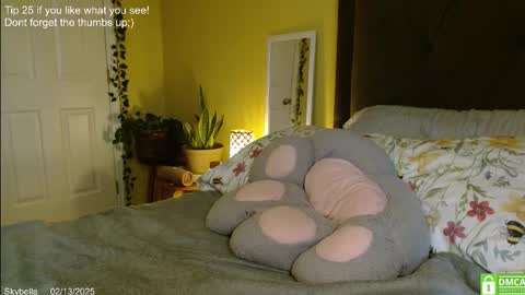 Snapshot of skybella_ chatting on 02.13.25 Skylar online show from 02.13.25