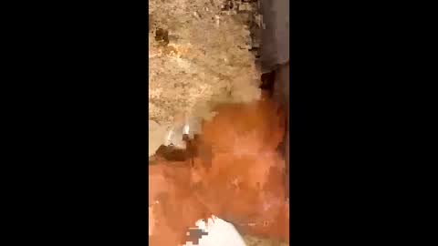 Snapshot of slapaho666 chatting on 10.03.25 slapaho666 online show from 10.03.25