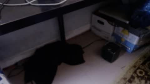 sliderguy699 online show from 04.09.26