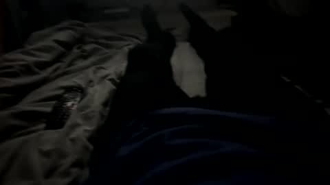 slimboy6900 online show from 02.23.26