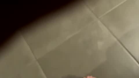 slimlord90 online show from 01.25.25