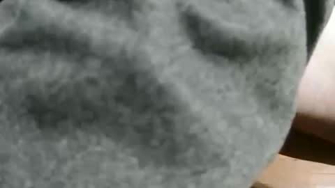 Snapshot of slimsunny chatting on 12.04.24 slimsunny online show from 12.04.24