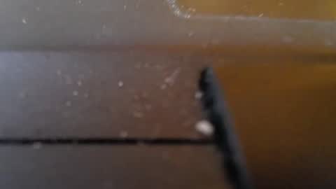 Snapshot of slimy_cunt chatting on 01.29.25 Jemila online show from 01.29.25