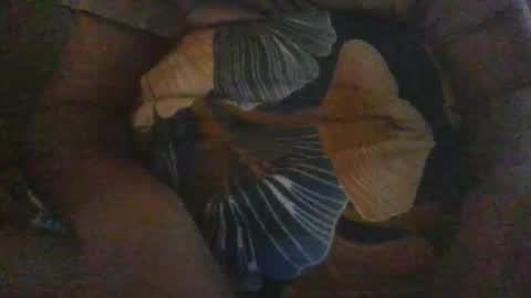 slothslav online show from 12.18.24