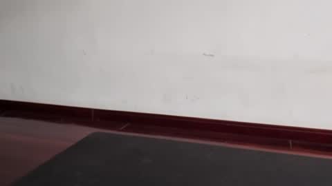 slutfactor online show from 03.31.26