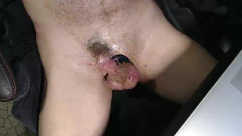 slyfast1 online show from 04.03.26