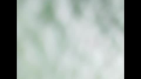 small wood21 online show from 12.22.25