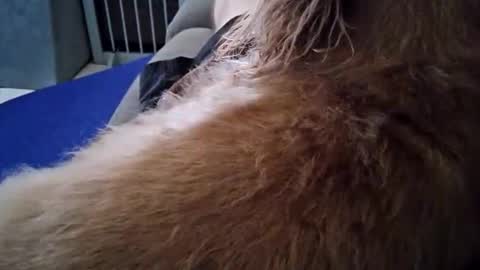 Snapshot of smokynight chatting on 09.26.25 smokynight online show from 09.26.25