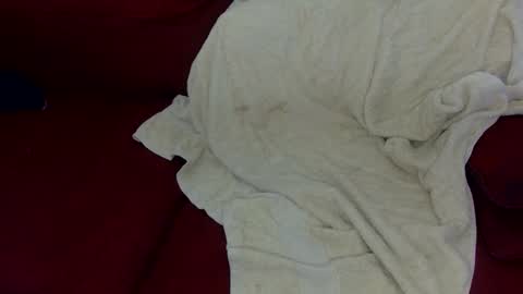 smolqt online show from 03.05.26
