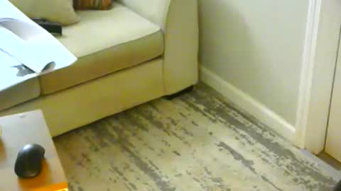 Snapshot of snizniz chatting on 01.21.25 snizniz online show from 01.21.25