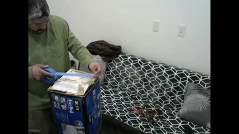 Snapshot of snizniz chatting on 02.11.25 snizniz online show from 02.11.25