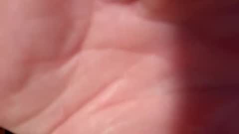 Snapshot of snooty05 chatting on 02.10.25 Snooty online show from 02.10.25