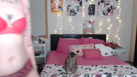 snow_money online show from 03.06.25