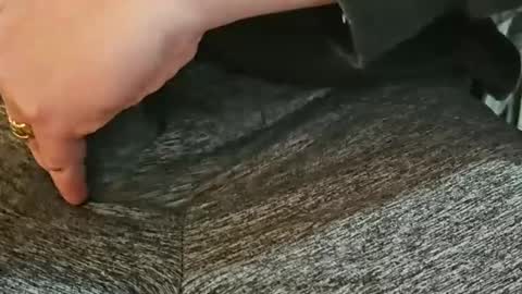 snowplan44 online show from 01.13.25