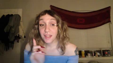 Snapshot of soffpurr chatting on 12.02.25 Lilytea online show from 12.02.25