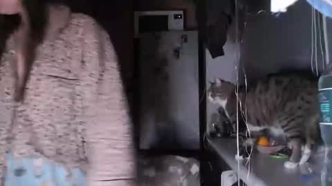 Sofi online show from 12.14.25