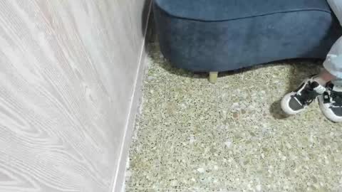 sofi_posada online show from 11.13.25