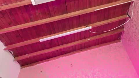 Snapshot of sofia_martinn chatting on 11.14.25 Sofia online show from 11.14.25