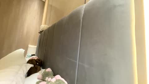 sofiaalvarezx online show from 07.11.26