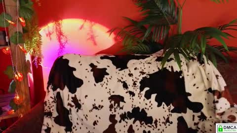 E online show from 11.18.25