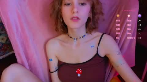 E online show from 04.17.26