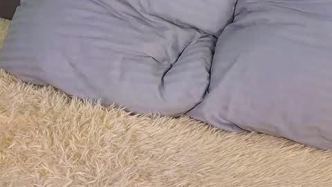 Snapshot of soft_babe chatting on 03.02.25 Milisa online show from 03.02.25