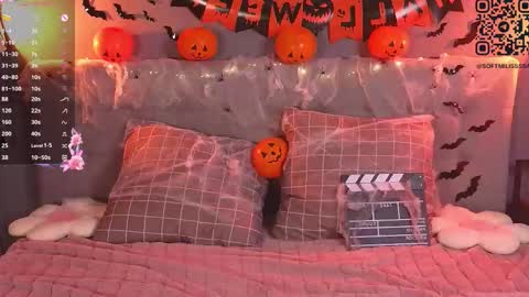 Snapshot of soft_babe chatting on 11.02.25 Milisa online show from 11.02.25