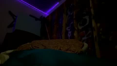 Snapshot of sohan730903 chatting on 02.15.26 sohan730903 online show from 02.15.26