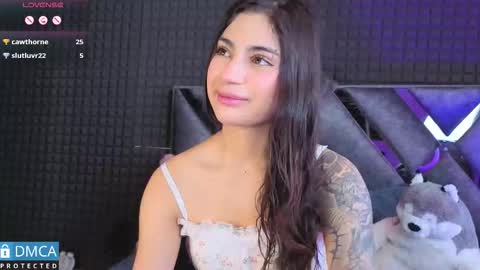 Snapshot of solbeaumont chatting on 11.15.25 Sol online show from 11.15.25